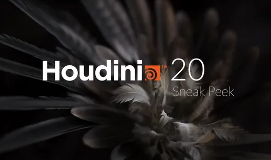 SideFX Houdini FX 20.5.278+20.0.547