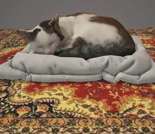 躺在地毯上的猫咪 可爱猫咪