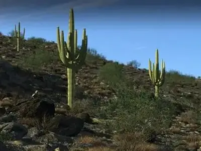 Planetside Software Terragen Professional 4.5.42 Win