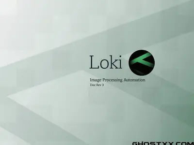 Digital Vision Loki 2017.1.004 Win64