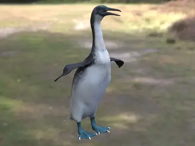 泰坦巨翼鸟 Copepteryx Titan 史前鸟类巨型鹱形目已灭绝海鸟巨型飞行鸟类