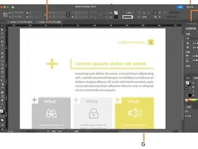 Indesign2025v20.1(64bit)