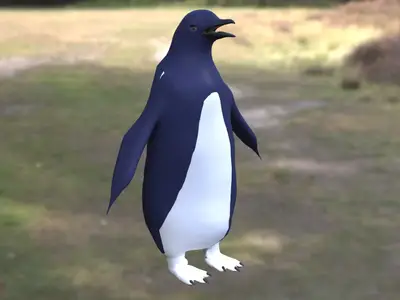 蓝小企鹅神仙企鹅小蓝企鹅澳洲新西兰特有企鹅最小企鹅