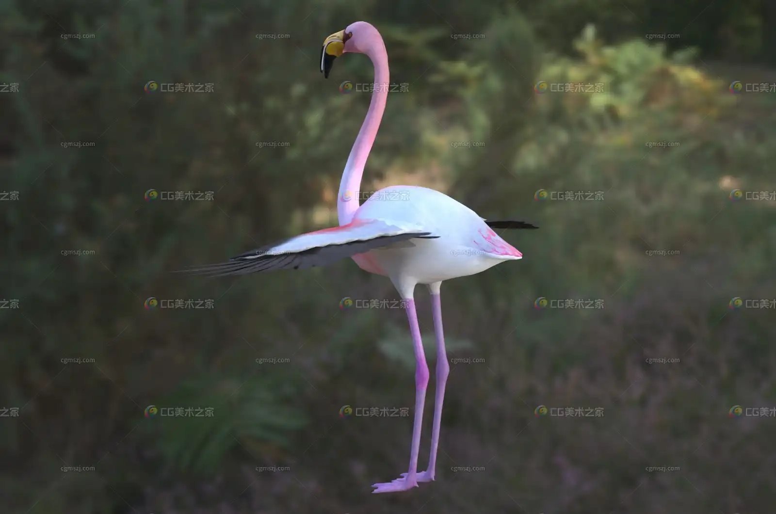 https://img.cgmszj.com/resource/100889/display/5cefdfc9b459415797aa9d2fdbef357d.webp