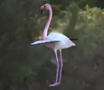 https://img.cgmszj.com/resource/100889/thumbnail/5cefdfc9b459415797aa9d2fdbef357d_thumbnail.webp