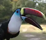 https://img.cgmszj.com/resource/100890/thumbnail/ace0d2e68db141e9b9b16ecc4ca7cdac_thumbnail.webp