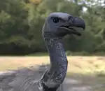 https://img.cgmszj.com/resource/100892/thumbnail/6846bb7250eb484eacd37f928587966f_thumbnail.webp