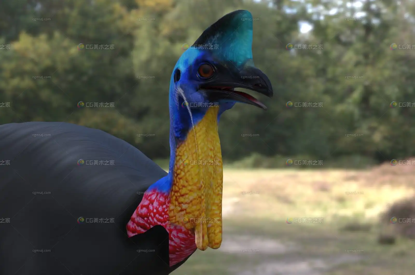 https://img.cgmszj.com/resource/100905/display/567485798f4b4463bd80886cf8191e45.webp