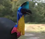 https://img.cgmszj.com/resource/100905/thumbnail/567485798f4b4463bd80886cf8191e45_thumbnail.webp