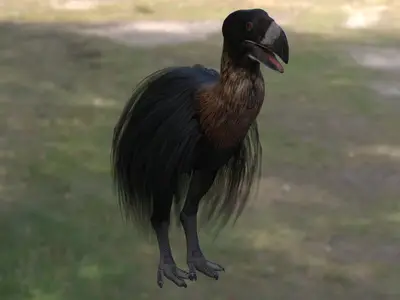 Gastornis即冠恐鸟加斯顿鸟生物动物