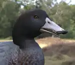 https://img.cgmszj.com/resource/100915/thumbnail/95cbb3c4af754a098c5272fff4871a4f_thumbnail.webp
