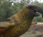 https://img.cgmszj.com/resource/100916/thumbnail/c4987925c5524429926878e71142ad69_thumbnail.webp
