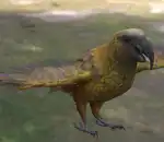 https://img.cgmszj.com/resource/100916/thumbnail/d0bf047c307c46caa8eceff87f08614f_thumbnail.webp