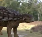 https://img.cgmszj.com/resource/100921/thumbnail/8a26642b12ad41a8814c21e73483c15e_thumbnail.webp