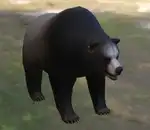 https://img.cgmszj.com/resource/100926/thumbnail/22d27747b4d54e52ad63f70e48f725cf_thumbnail.webp