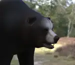 https://img.cgmszj.com/resource/100926/thumbnail/5c1b290d4c854863adbfd4c4f9b90722_thumbnail.webp