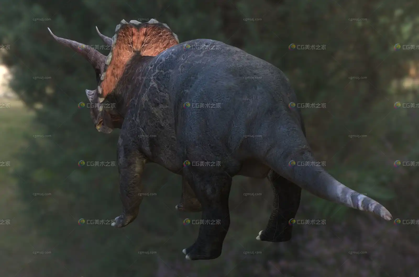 https://img.cgmszj.com/resource/100941/display/4287e423ff30491ea230408348b66049.webp