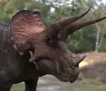 https://img.cgmszj.com/resource/100941/thumbnail/2bc53105cbea4f4fae2f5a6342532614_thumbnail.webp