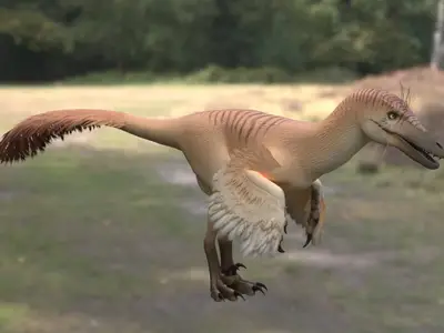 蒙古迅猛龙蒙古伶盗龙生存于晚白垩世坎潘期的生物