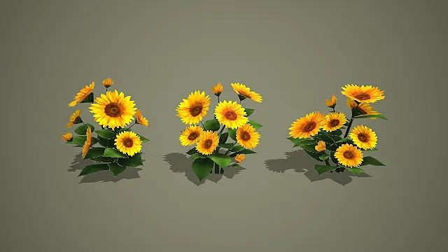 低模三丛向日葵花簇 3D 模型 游戏田园场景花卉素材