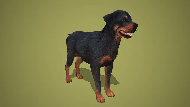写实风黑棕相间罗威纳犬 3D 模型