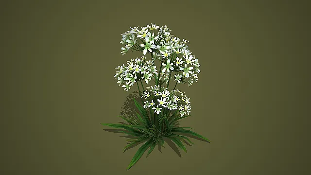 低模白色星点花簇 3D 模型 游戏场景草本植物素材