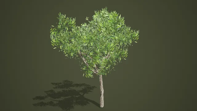 写实风格阔叶乔木 3D 模型 游戏场景绿化树木素材