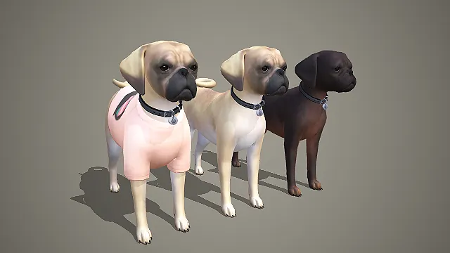 卡通八哥犬 3D 模型 带服饰多色宠物犬角色素材包