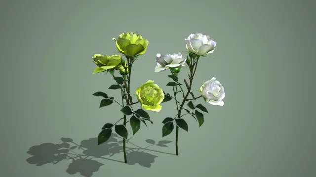 白绿渐变与青柠绿双色玫瑰枝条写实花卉 3D 模型