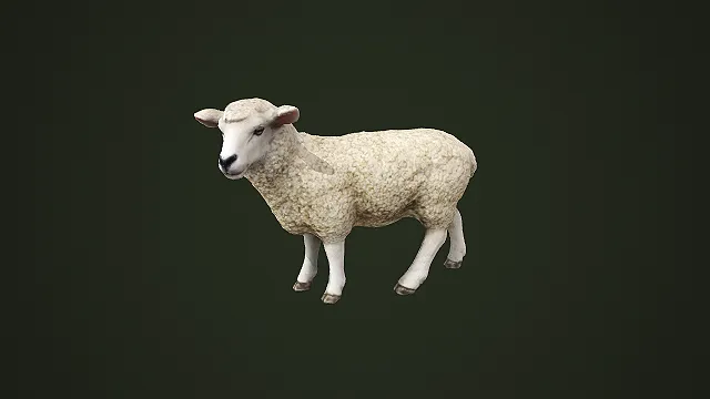 写实风格绵羊行走姿态 3D 模型