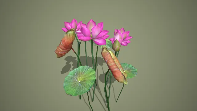 写实风格多朵粉莲枯荷组合 3D 中式水景装饰道具模型