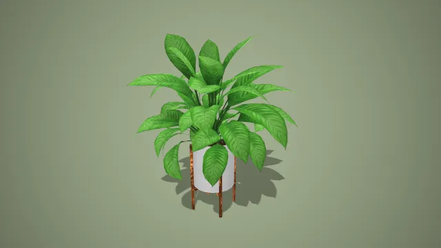 写实风格木架白盆万年青盆栽 3D 室内装饰植物模型