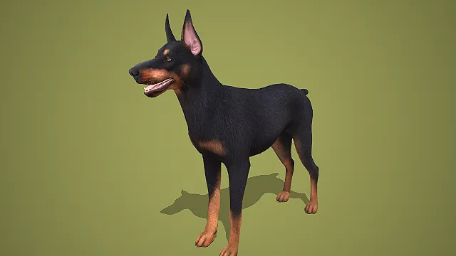 写实风黑棕相间杜宾犬 3D 模型