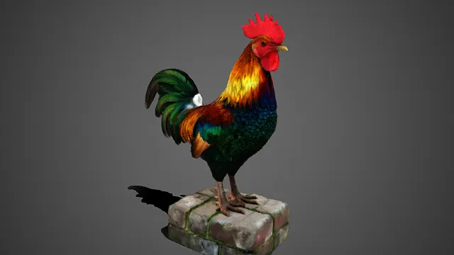 写实  公鸡  鲜红鸡冠  绿蓝鳞片状羽毛  石基  青苔  动物题材