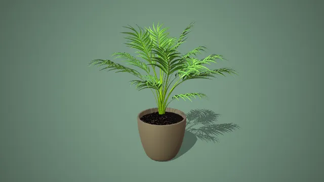 写实风格黄色圆盆迷你椰子树盆栽 3D 室内装饰植物模型