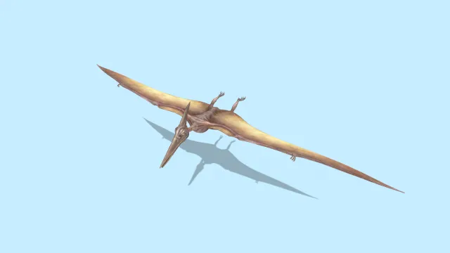 动画飞天翼龙恐龙循环动物