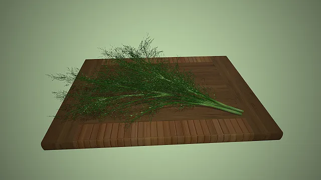 一个写实风格的常见西餐香草调料莳萝的3d模型