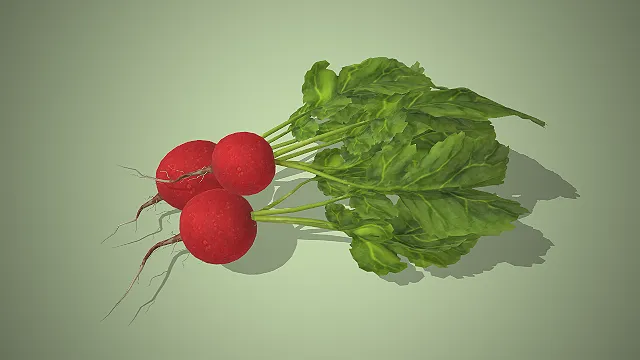 一个写实风格的适合用于美食的3D樱桃萝卜模型