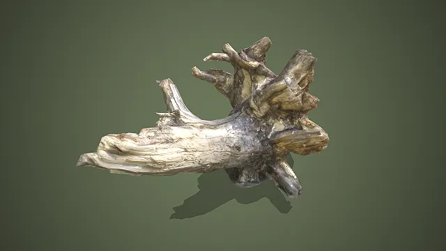 一个适合用于森林场景的枯树根的3D模型