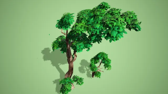 小树  树木  植被  绿植  写实
