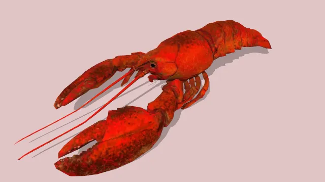 大龙虾海鲜产品食物