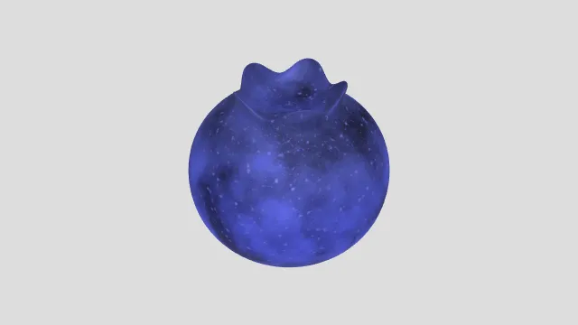 一个普通的蓝莓