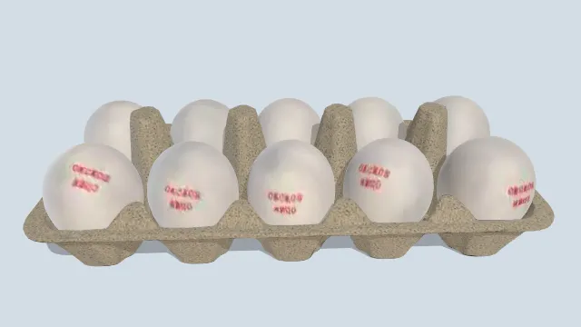 放在鸡蛋盘里的有编号的鸡蛋