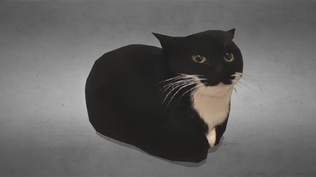 卧着的猫  动物  写实风  黑白色  模型