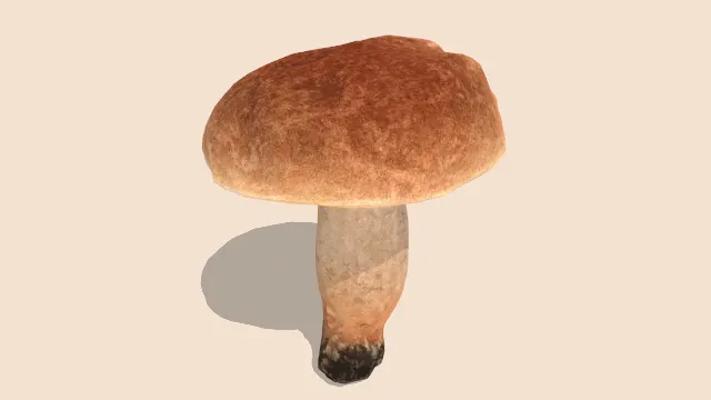 手绘便士包蘑菇菌类食物