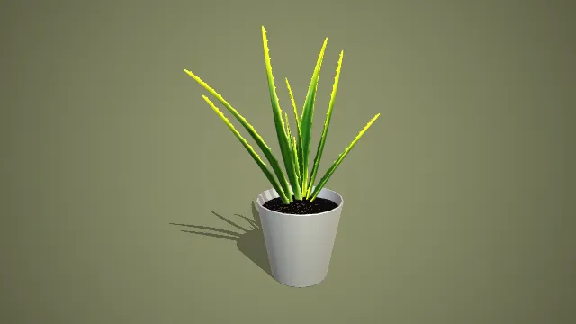 写实风格白色高盆芦荟盆栽 3D 室内装饰植物模型