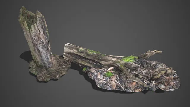 写实风格  断裂的树桩  苔藓侵蚀  朽木附青苔  腐殖质  树桩与残木
