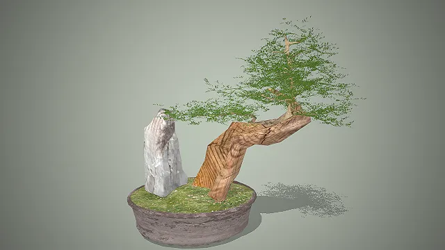 绿植盆景  中式风  景观摆件  园艺装饰