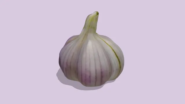 紫色大蒜佐料食物