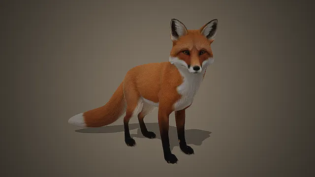 写实风赤狐角色模型